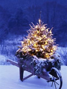 27 DIY Christmas Outdoor Decorations Ideas You Will Want To Start-homesthetics (1)