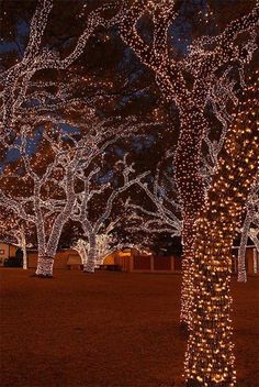 27 DIY Christmas Outdoor Decorations Ideas You Will Want To Start-homesthetics (3)