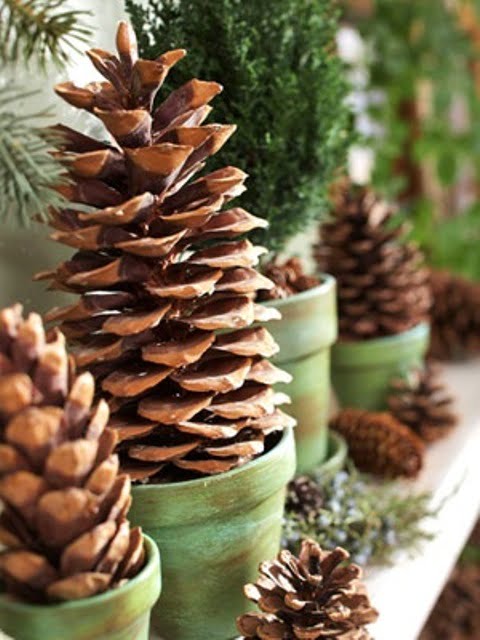 65+ Simply Magical DIY Pinecones Crafts That Will Beautify Your Christmas Decor Homesthetics (29)