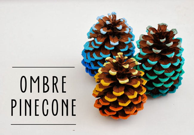 Superb Ombre Pinecones Wearing Magical Colors
