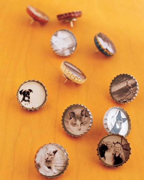bottle Decorated thumbtacks and magnets
