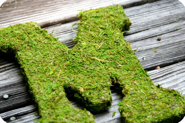 MOSS-COVERED-LETTERS