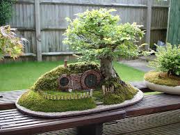 The Most Beautiful And Unique Bonsai Trees In The World-homesthetics (32)