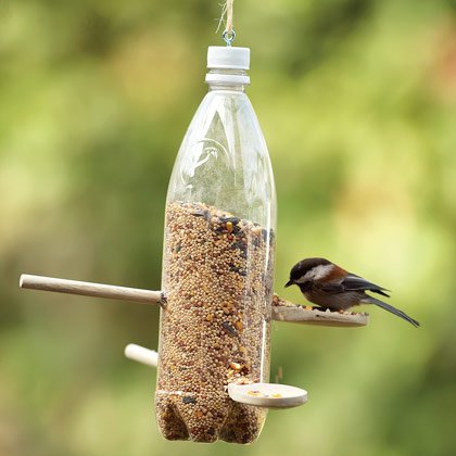  Serve the Nature with a Water Bottle Bird Feeder