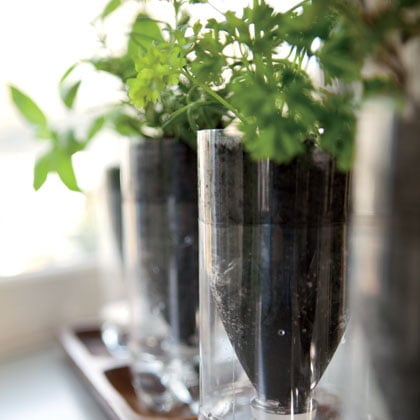 Simply Creative Plastic Bottle Herb Pots 