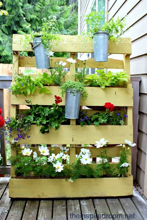 Recycled Wooden Pallets Sheltering Greenery