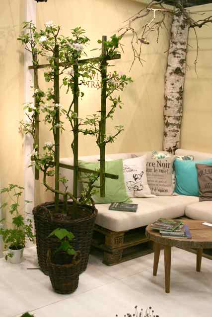 Bring Greenery Inside With a Winter Potted Garden