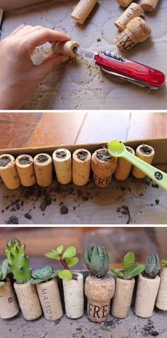 YOU CAN USE WINE CORKS AS LITTLE PLANT HOLDERS FOR YOUR SUCCULENTS