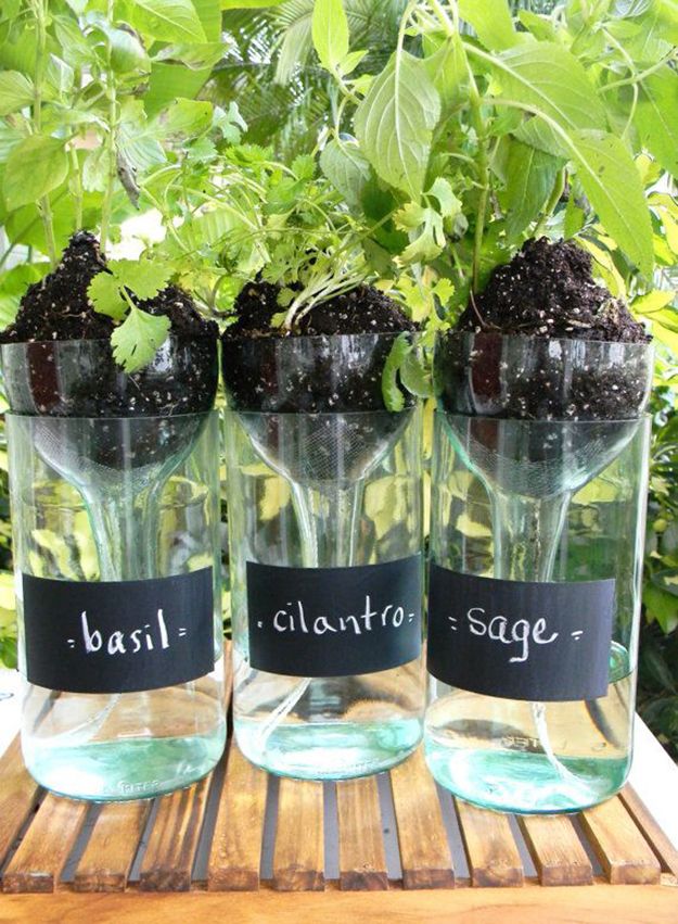 Self Watering Wine bottle Planters to realize at home
