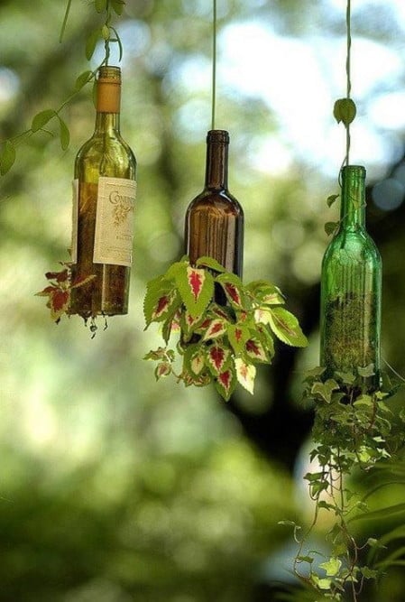 glass bottle planter suspended 