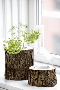 Exceptionally Creative DIY Tree Stumps Projects to Complement Your Interior With Organicity homesthetics decor (16)