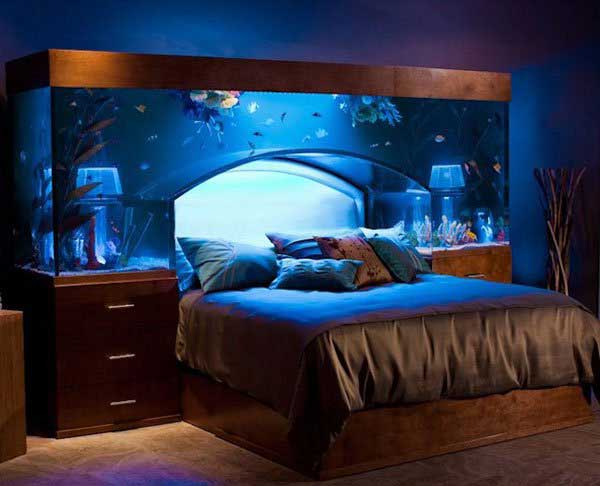 #12 Illuminated Fish tank Headboard