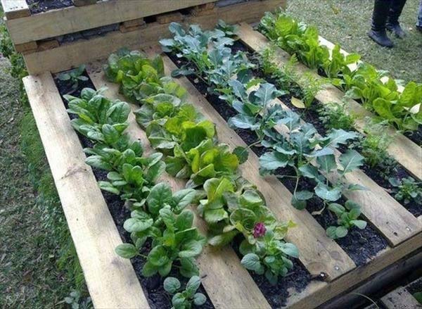 #23 WOODEN PALLET GARDEN PLANTERS