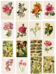 FREE Printables Of Insanely Beautiful Vintage Posters That You Can ...