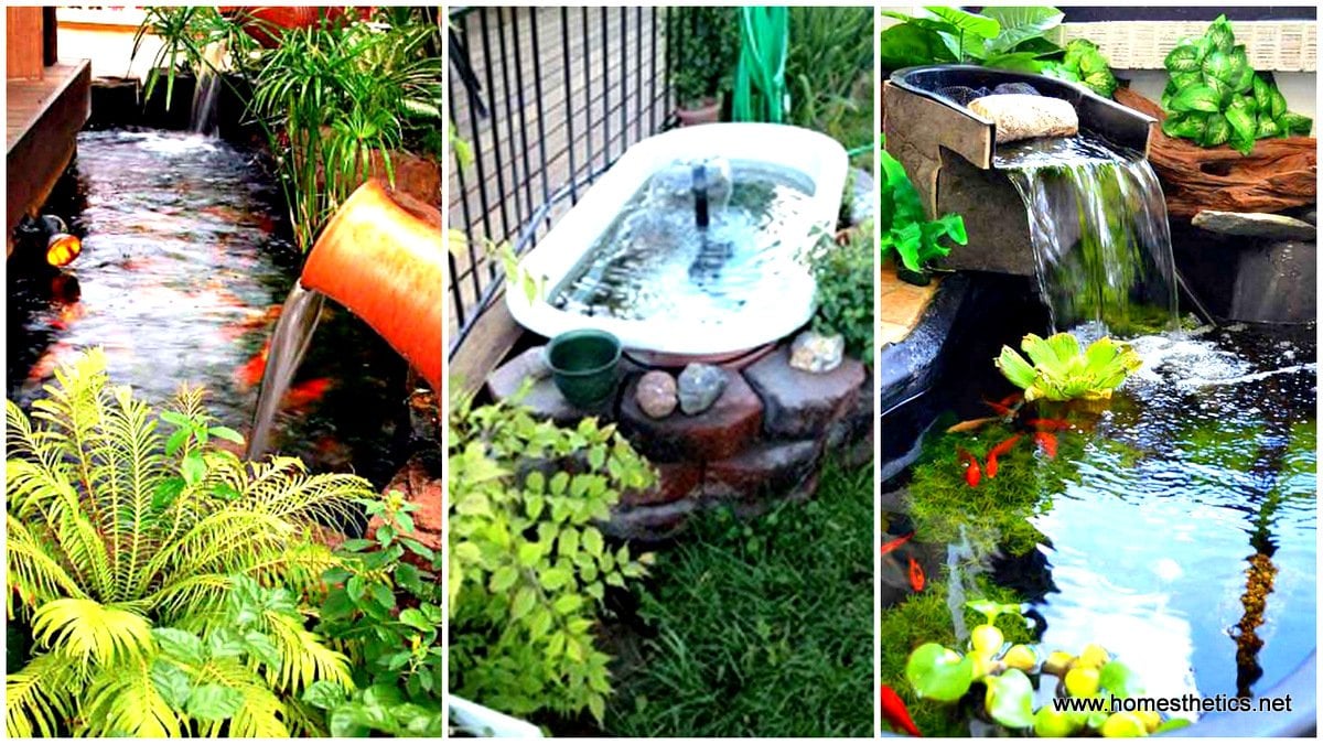 1 21 Small Garden Ideas That Will Beautify Your Green World Backyard Aquariums Included