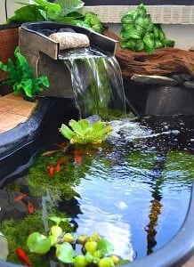 21+ Small Garden Backyard Aquariums Ideas That Will Beautify Your Green ...