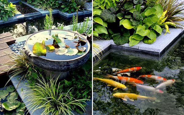 21+ Small Garden Backyard Aquariums Ideas That Will Beautify Your Green World 