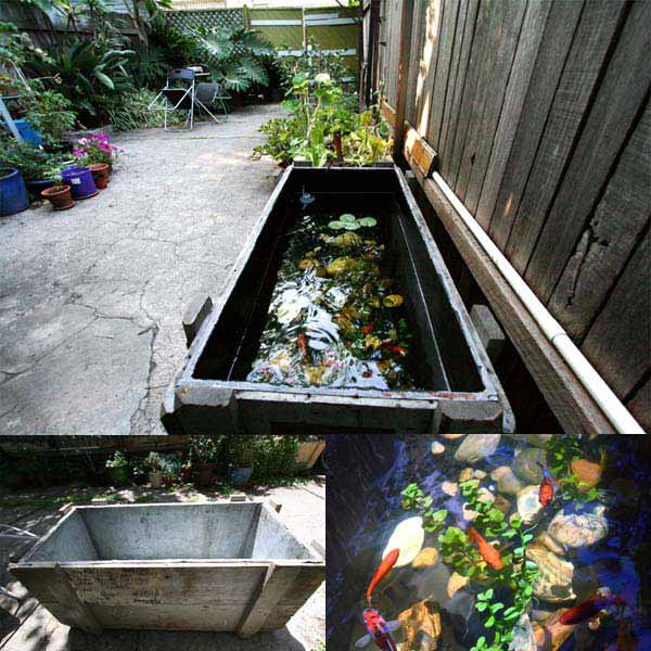 21+ Small Garden Backyard Aquariums Ideas That Will Beautify Your Green World 