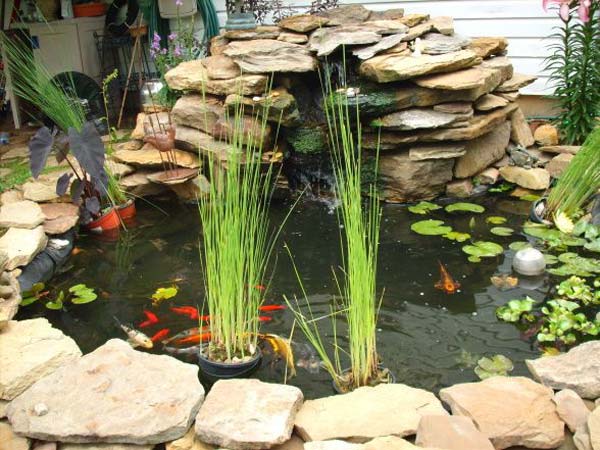 21+ Small Garden Backyard Aquariums Ideas That Will Beautify Your Green World 