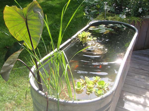21+ Small Garden Ideas That Will Beautify Your Green World [Backyard Aquariums Included]outdoor fish ponds homesthetics (5)