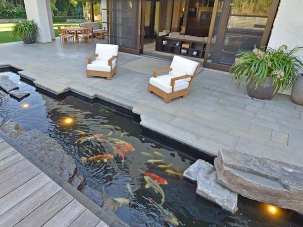 21+ Small Garden Ideas That Will Beautify Your Green World [Backyard Aquariums Included]outdoor fish ponds homesthetics (6)