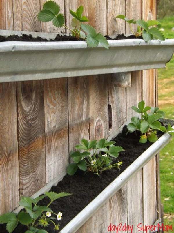 23 Extraordinary Beautiful Ways to Repurpose Rain Gutters in Your Household homesthetics diy projects (11)