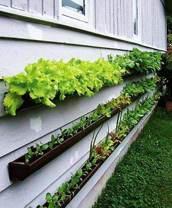 23 Extraordinary Beautiful Ways to Repurpose Rain Gutters in Your Household homesthetics diy projects (18)