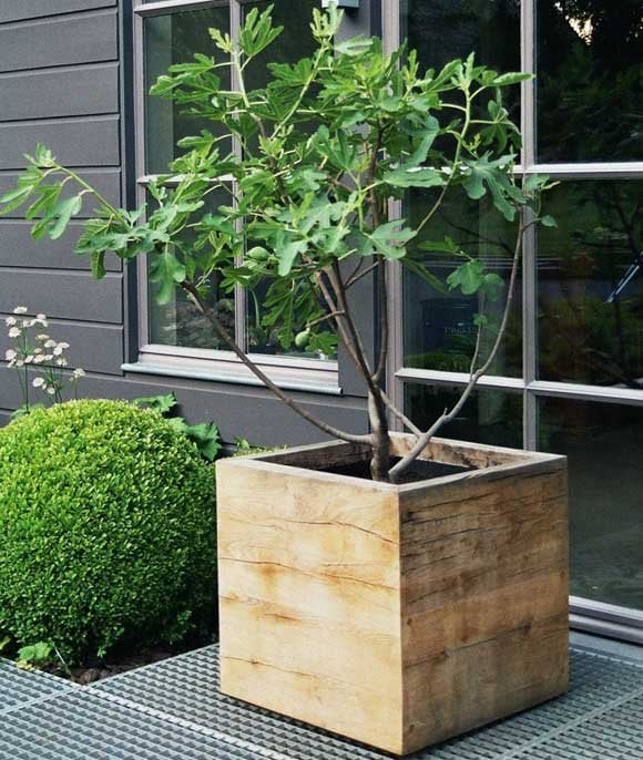 25 Insanely Beautiful Wooden Planter Ideas to Start Right Away homesthetics landscape design (1)