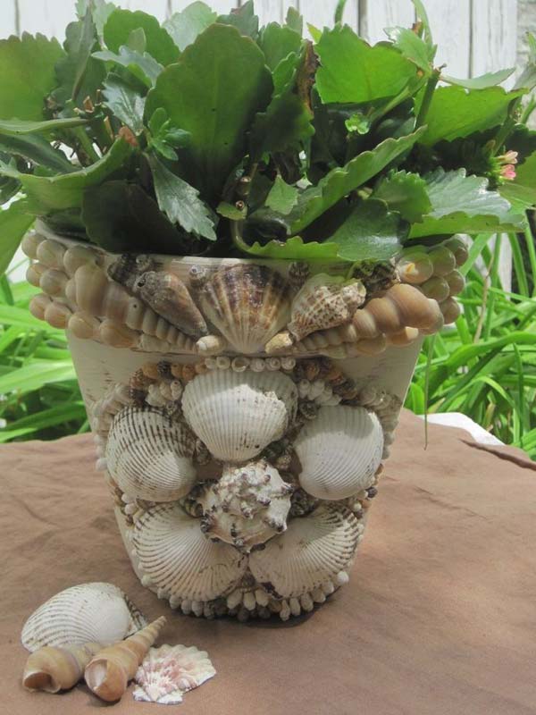 11. Seashell Clay Pot Carrying Greenery