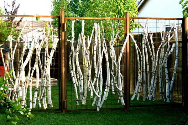 3.RUSTIC RUSTED STEEL AND BIRCH BRANCHES IN A  BEAUTIFUL FENCE COMPOSITION