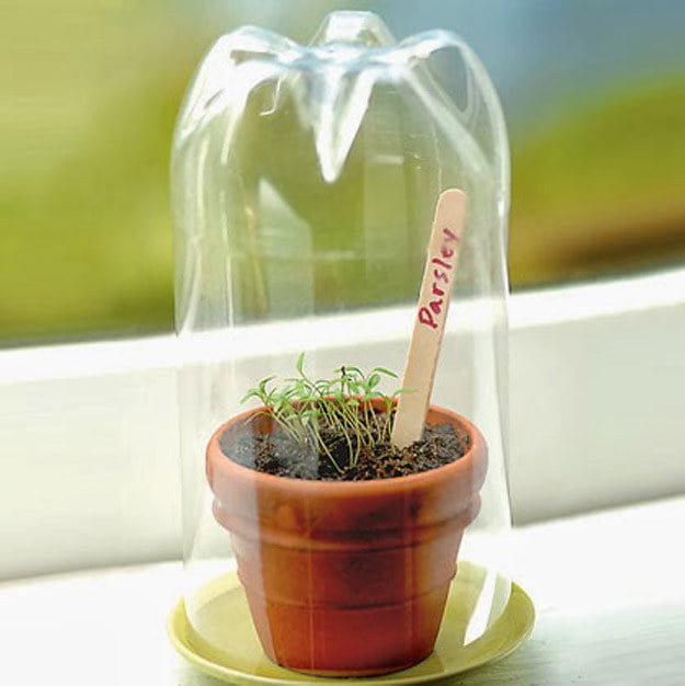 #20 Protect Small Plants Protected by Plastic Bottle