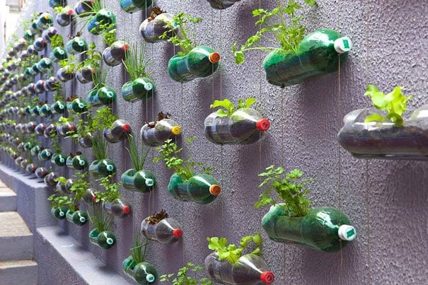 #3 Huge Wall Made Green Through Vertical Plastic Bottle Planters