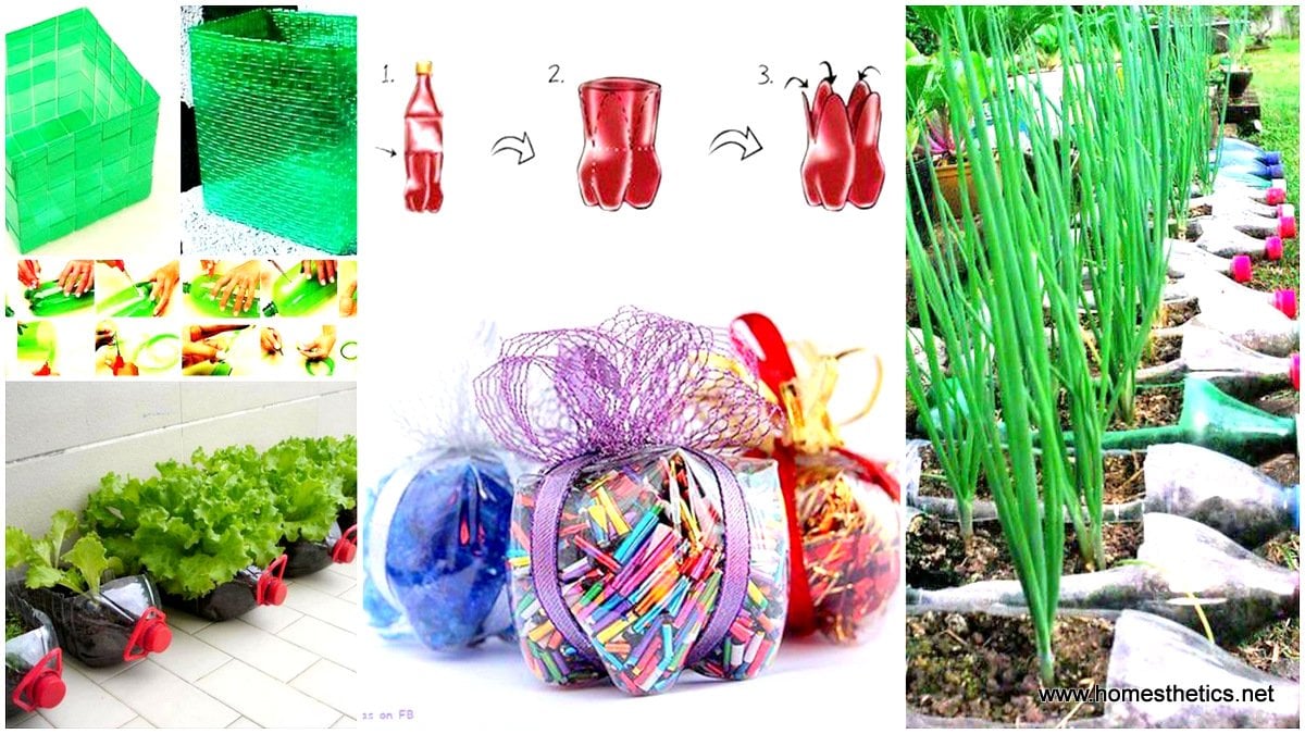 Creative DIY Ways to Recycle Plastic Bottles