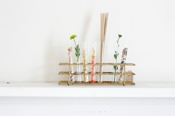 11 DIY Unique Test Tube Flower Vases- homesthetics decor (9)