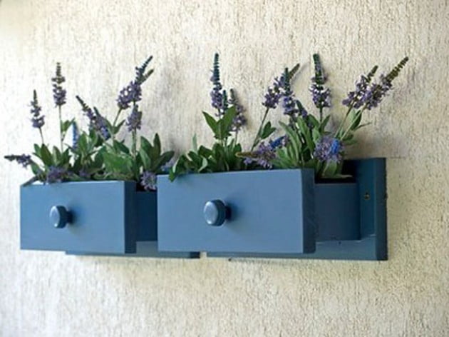 #3 Lavender In Drawers Planters
