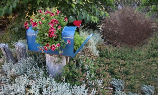 #1 Wooden Stump Carrying Old Mailbox Transformed Into Flower Planter