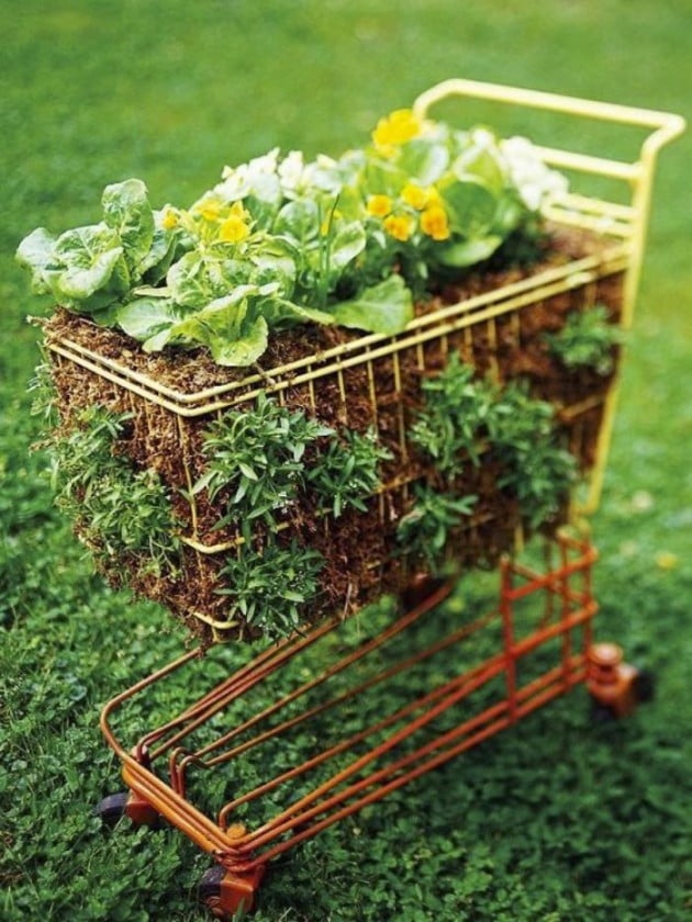 #11 Shipping Cart Boosting Fresh Salad Material