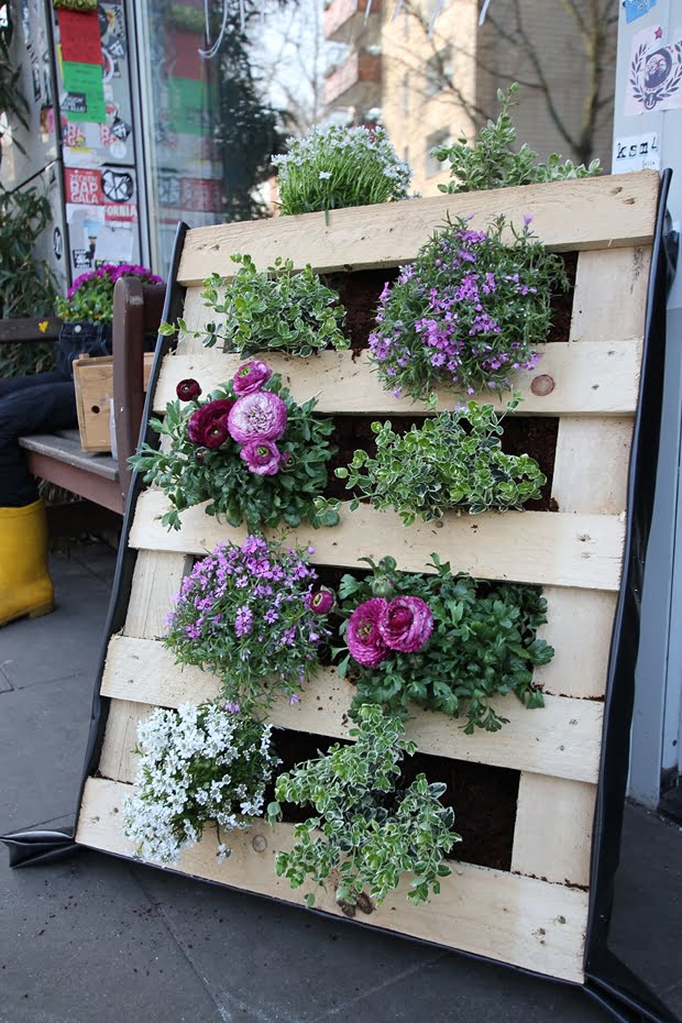 WOODEN PALLETS TRANSFORMED INTO PLANTERS 