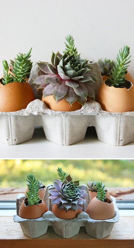 Flower Pot Ideas-homesthetics (19)