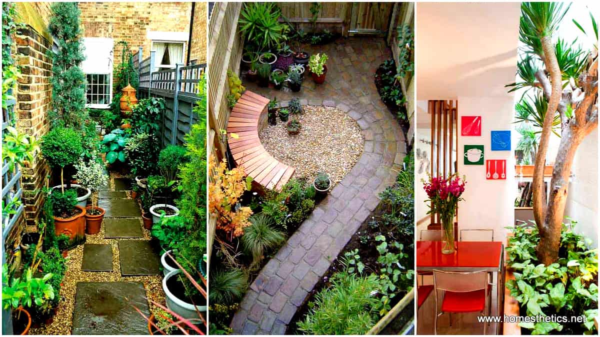 Beautifully Creative Landscaping Ideas For Narrow Outdoor Places
