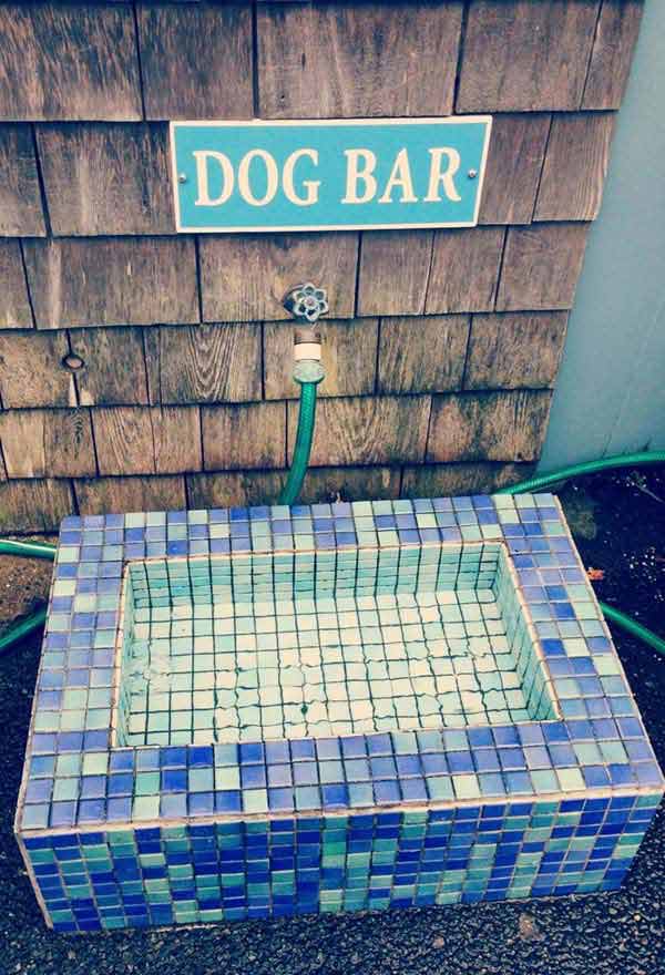 1. Create a Little Pool / Bar For Your Furry Friend