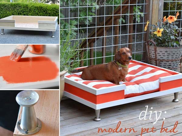 10. Outdoor Modern Pet Bedroom