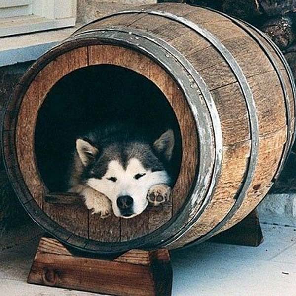14. Wine Barrel Dog House
