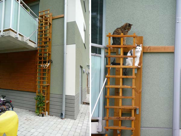  16. Ladder For Cats to The First Floor