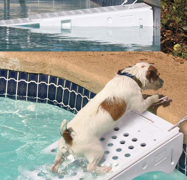19. Get Your Dog Out of The Pool Safely