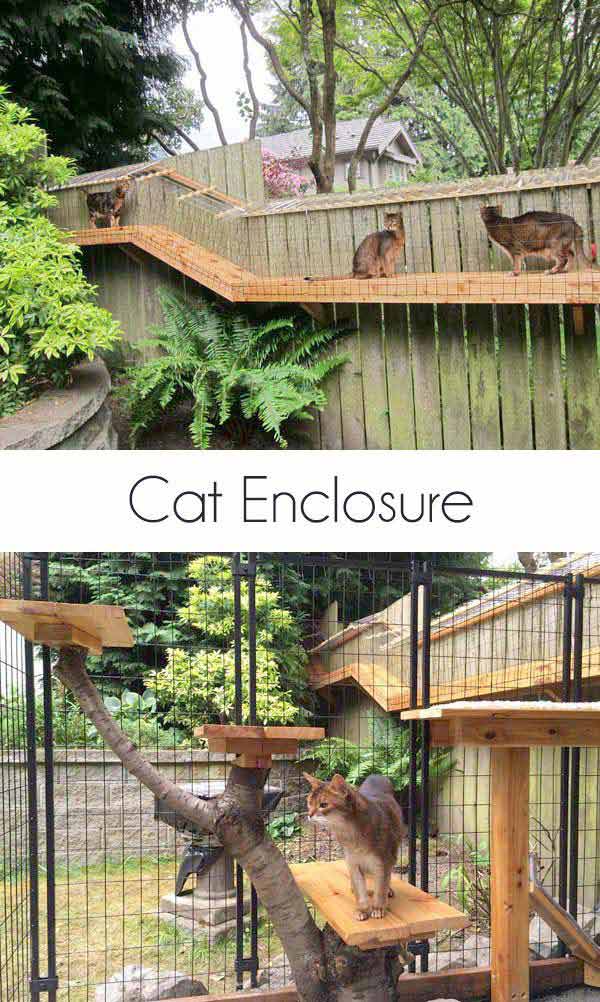 2. Backyard Outdoor Path For Indoor Cats