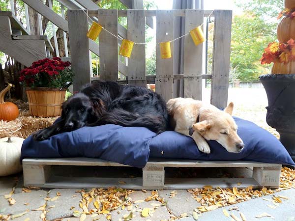 20. Pallet Raised Bed For Little Furry Friends