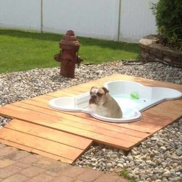 3. Small Bone Shaped Pool For Your Canine Friend