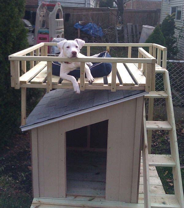 4. Two Storey Dog House With Opened Deck