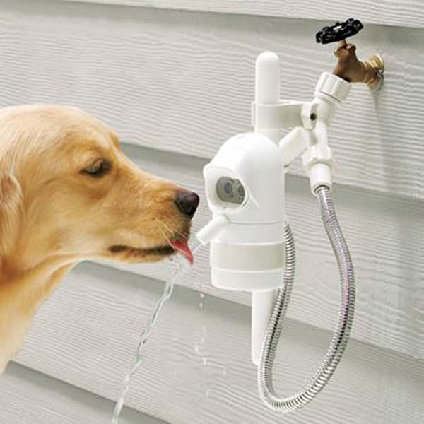 5. Smart and Useful Dog Activated Fountains